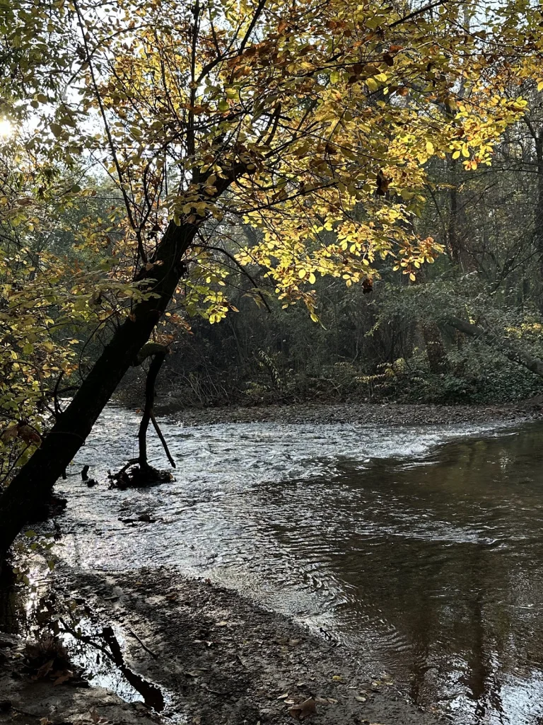 Bidwell Park, Chico