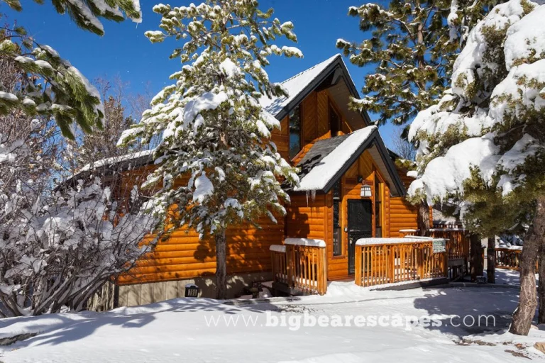 Big Bear Escapes