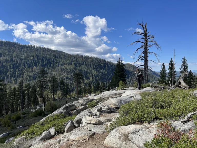 Big Meadow East
