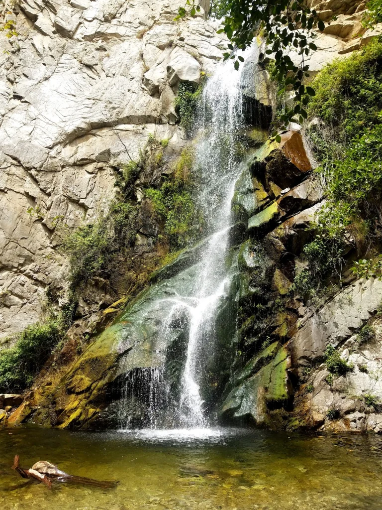 Big Santa Anita Canyon, a dog-friendly hiking trail in Sierra Madre, California