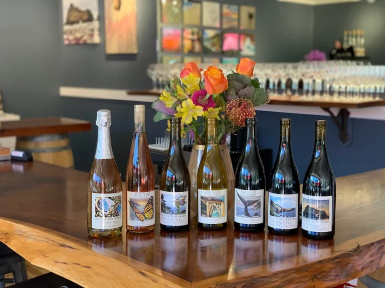 Big Sur Vineyards, a dog-friendly winery in Carmel Valley, California