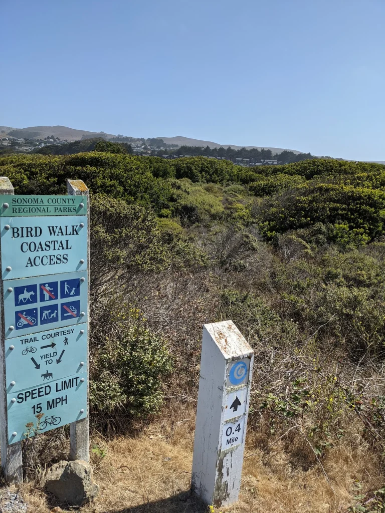 Bird Walk Coastal Access Trail, a dog-friendly hiking trail in Bodega Bay, California