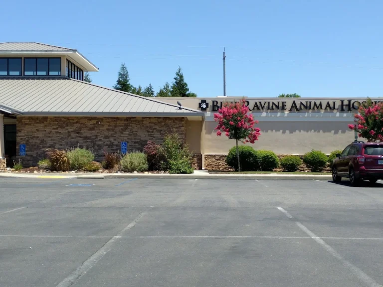 Blue Ravine Animal Hospital