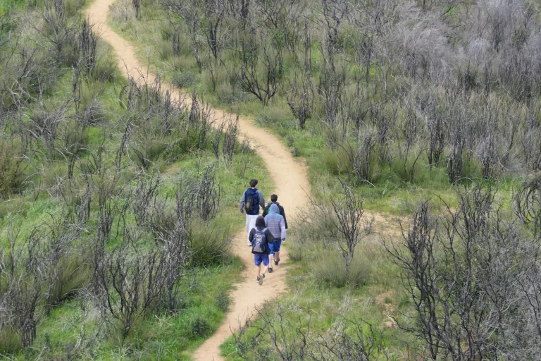 Blue Ridge Trail South