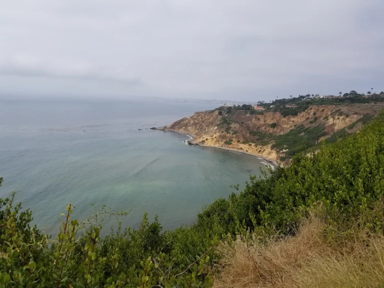 Bluff Top Trail Google Places photo