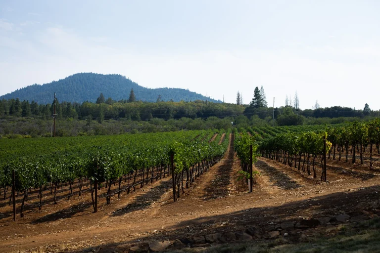 Boatique Winery
