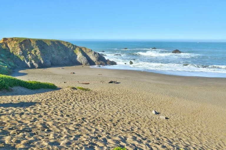 Bodega Bay and Beyond