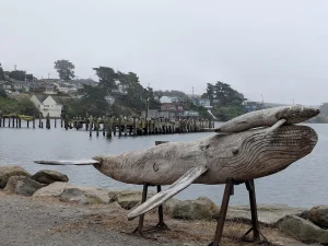 Bodega Harbor Inn