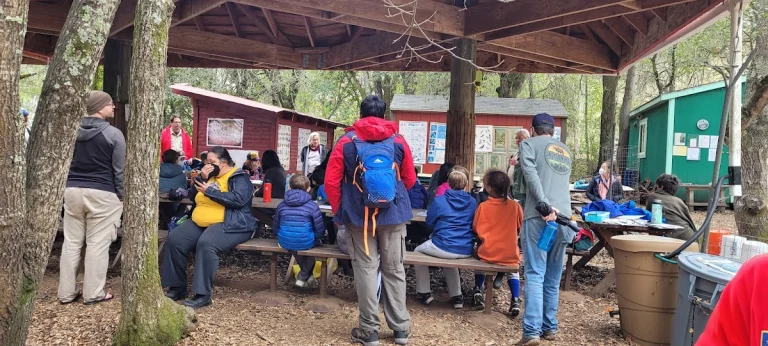Bodfish Preserve, a dog-friendly hiking trail in Orinda, California