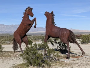 Borrego Springs Resort