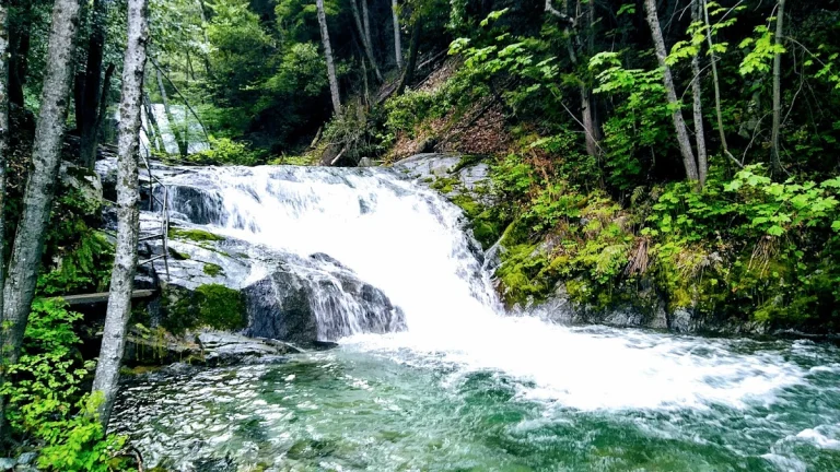 Brandy Creek Falls