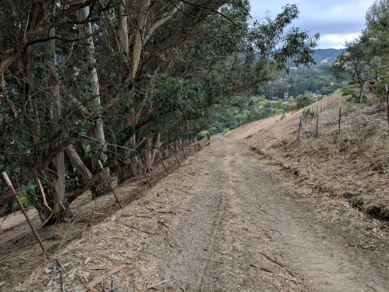 Briones to Mount Diablo