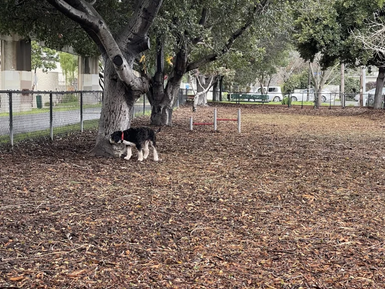 Bruce King Memorial Dog Park
