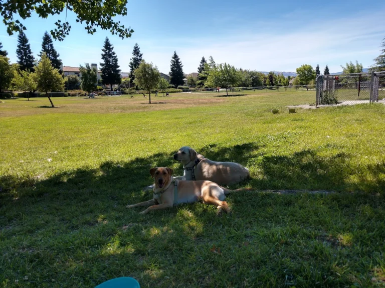 Bruno Canziani Dog Park