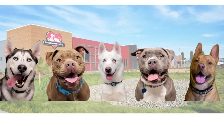 Butte Humane Society, Chico
