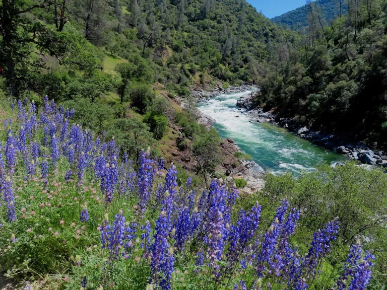 Buttermilk Bend Trail