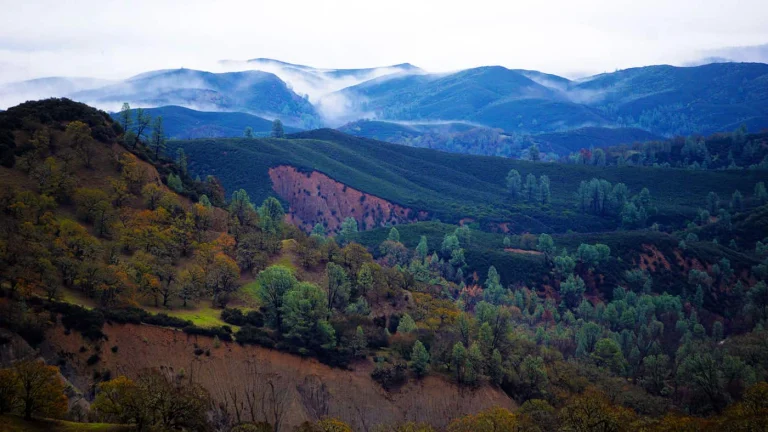 Cache Creek Natural Area
