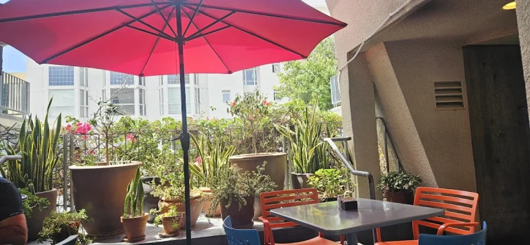Cafe 222, San Diego
