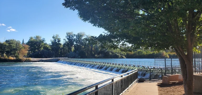 Caldwell Park, a dog-friendly park in Redding, California