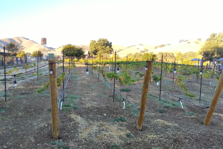 Calerrain Wines