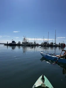 California Canoe & Kayak, a dog-friendly boating destination in Half Moon Bay, California