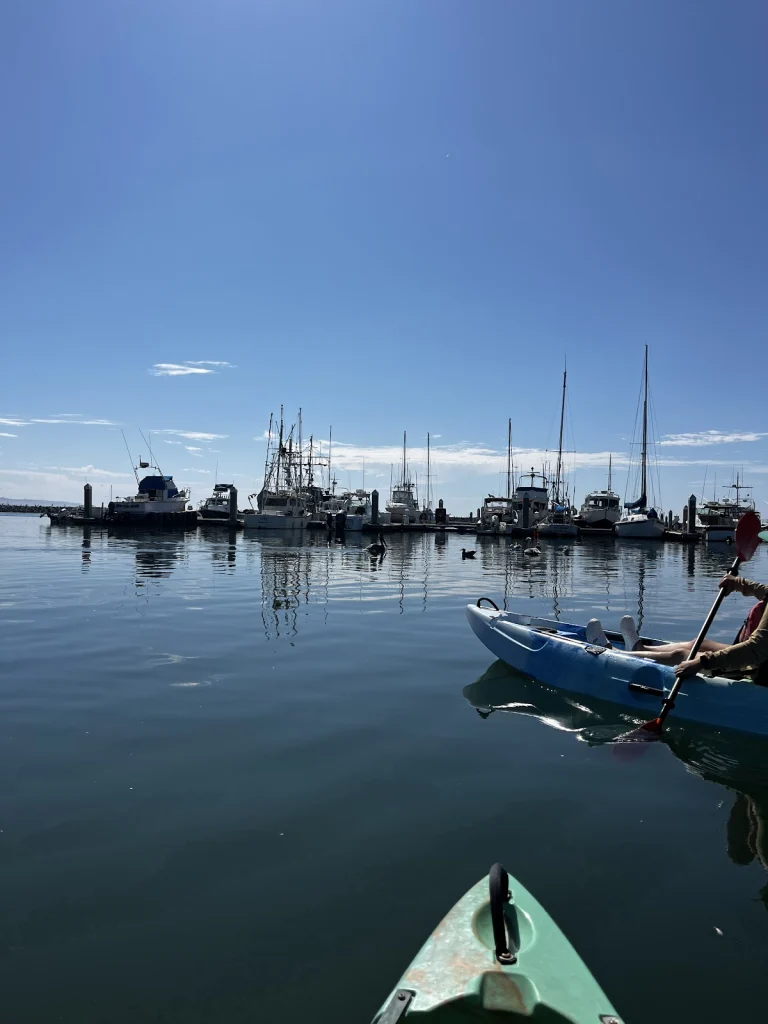 California Canoe & Kayak, a dog-friendly boating destination in Half Moon Bay, California