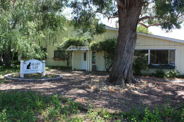 California Pet Hospital, Napa