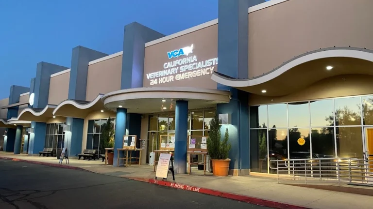 California Veterinary, Murrieta