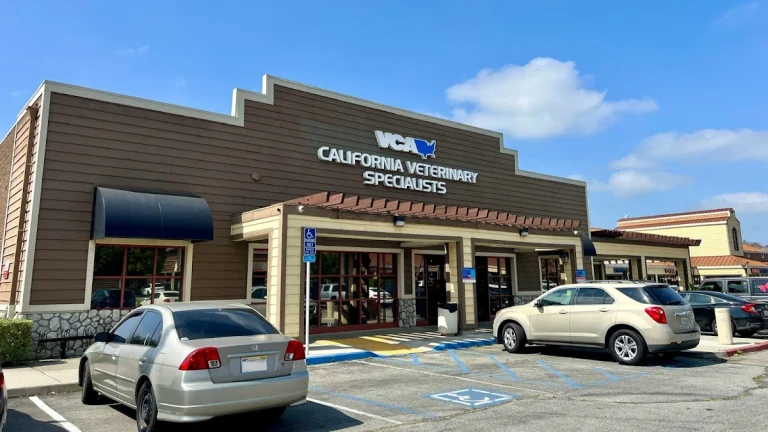 VCA California Veterinary, Ontario