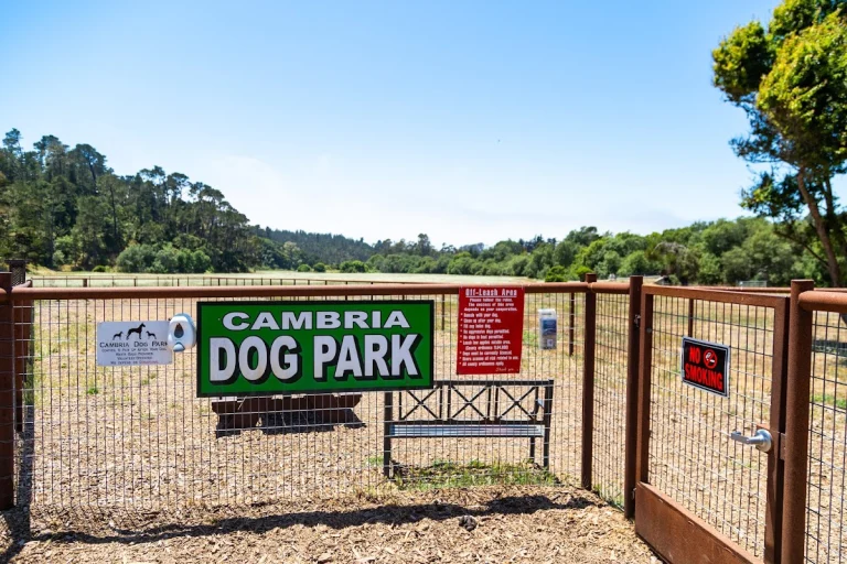 Cambria Dog Park