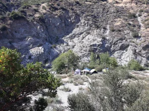 Camp Williams