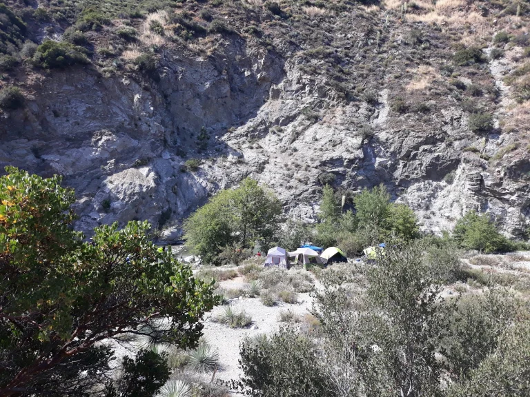 Camp Williams Google Places photo