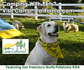 Camp California ad featuring Dog