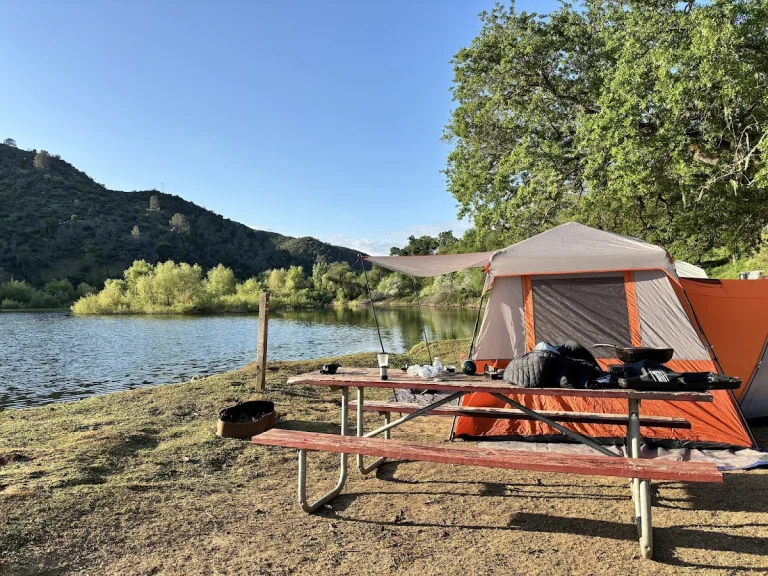 Campground at Pleasure Cove, a dog-friendly campground in Napa, California