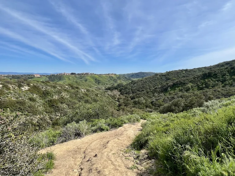 Canyon Acres Trail