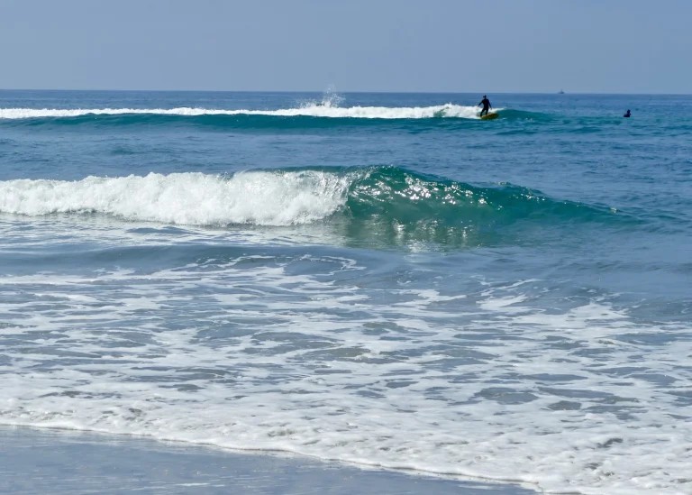 Cardiff State Beach