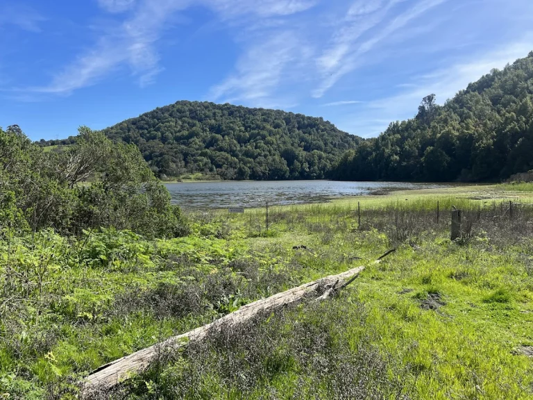 Carr Ranch — Google Places photo