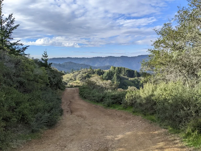 Carson Falls, a dog-friendly hiking trail in Bolinas, California