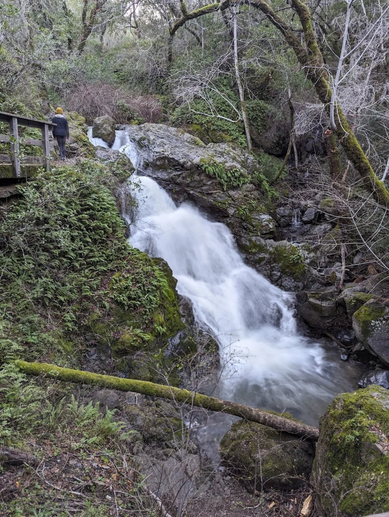 Cascade Canyon Falls Open