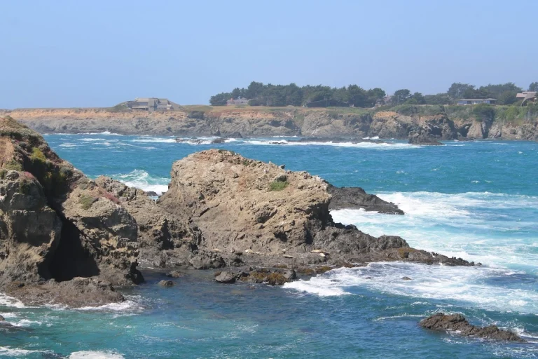 Caspar Uplands Trail, a dog-friendly hiking trail in Caspar, California