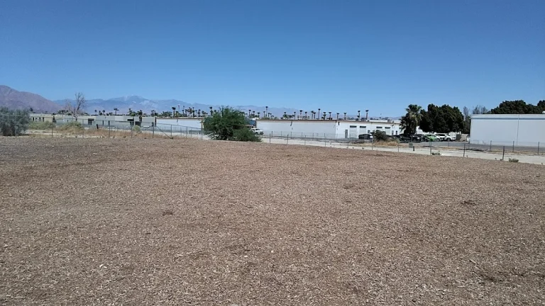 Cathedral City Dog Park — Google Places photo