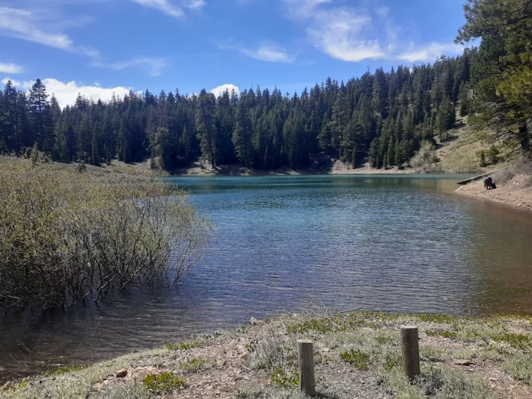 Cave Lake Campground, a dog-friendly campground in Alturas, California