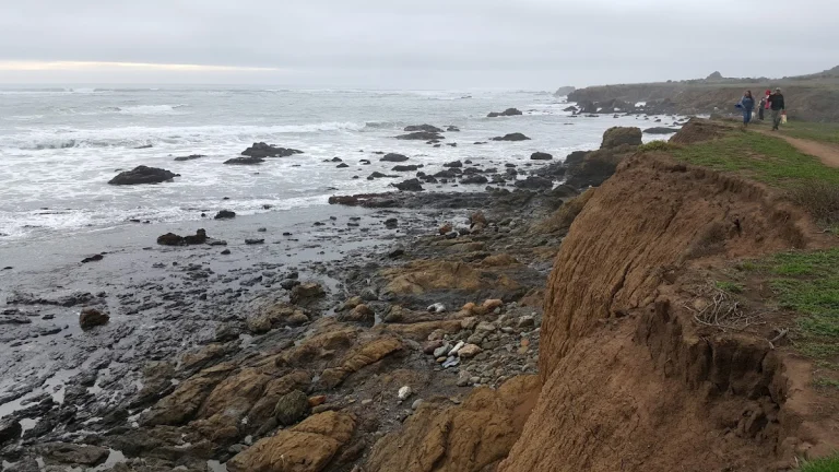 Cayucos State Beach, a dog-friendly beach in Cayucos, California