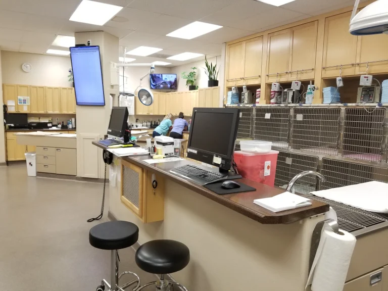 Central Coast Pet Hospital Google Places photo