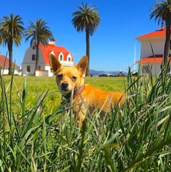 Charlie at Cavallo Point