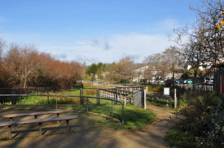 Chestnut Park – Santa Cruz