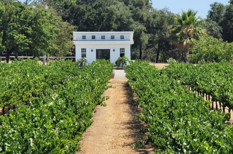 Cinnabar Winery, a dog-friendly winery in Saratoga, California