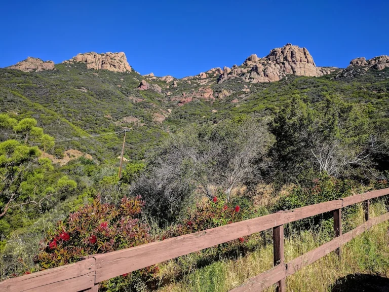 Circle X Ranch, a dog-friendly campground in Malibu, California