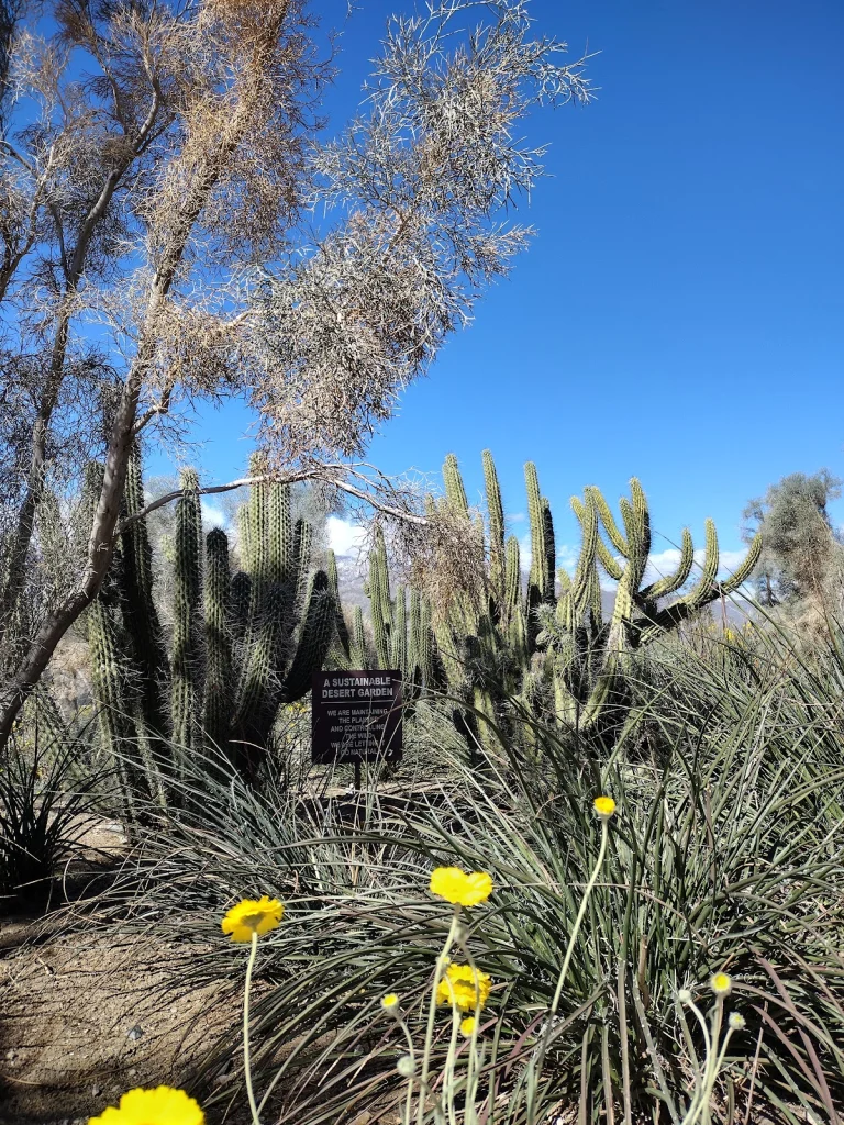 Palm Springs Animal Shelter, Palm Springs