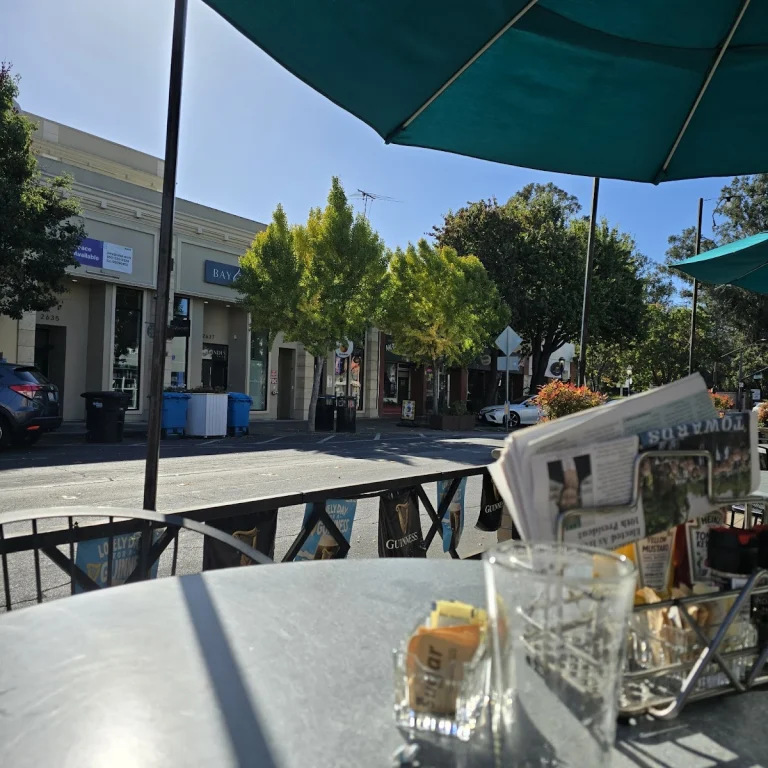 City Pub, a dog-friendly bar in Redwood City, California